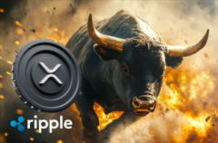 <strong>XRP行情季即将开始历史超卖水平预示着一</strong>