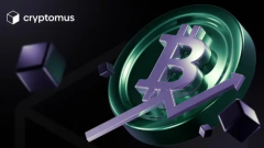 <strong>什么是比特币现金币？BCH币最新价格深度</strong>