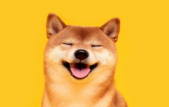 <strong>狗狗币逆势狂欢交易者杠杆未平仓合约创</strong>